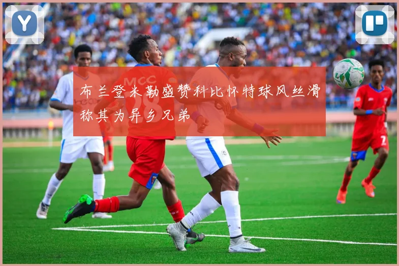 布兰登米勒盛赞科比怀特球风丝滑称其为异乡兄弟