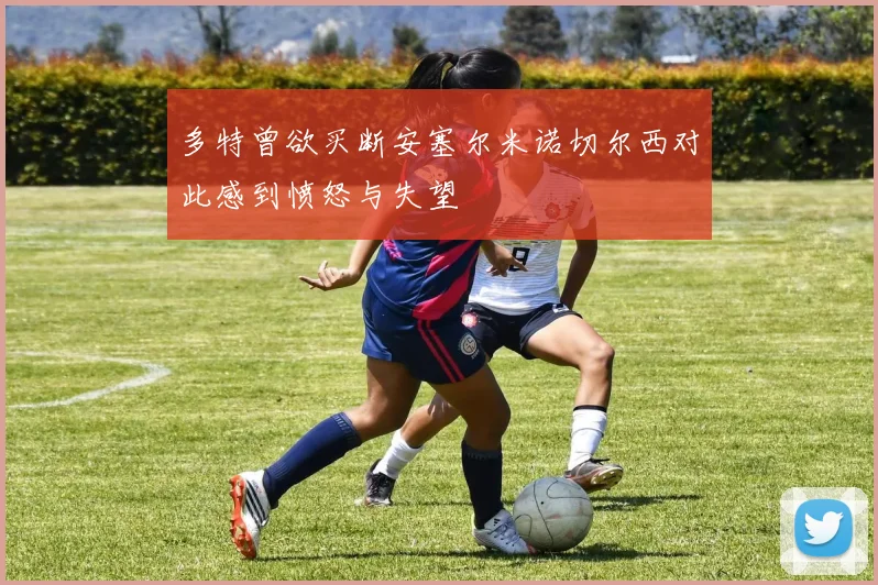 多特曾欲买断安塞尔米诺切尔西对此感到愤怒与失望