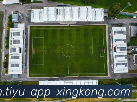 星空体育平台生态图